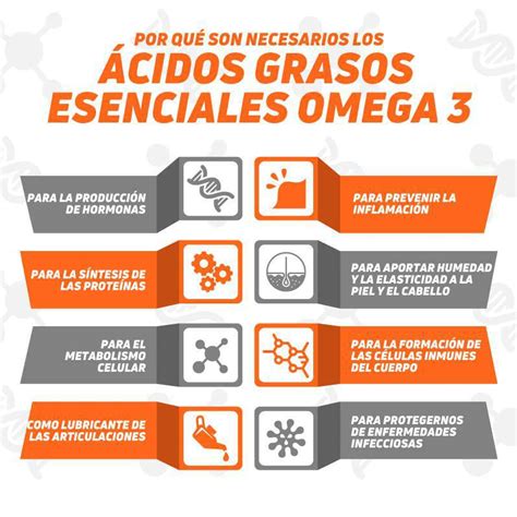 omega xl precio|los beneficios del omega 3.